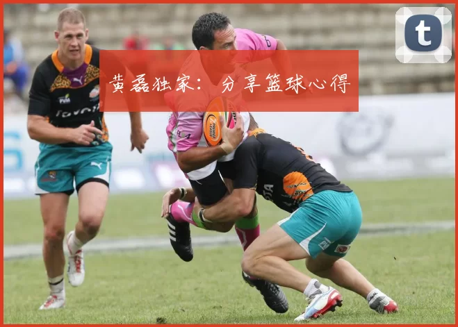 黄磊独家：分享篮球心得