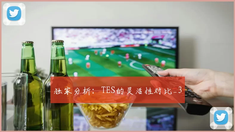 独家分析：TES的灵活性对比_3