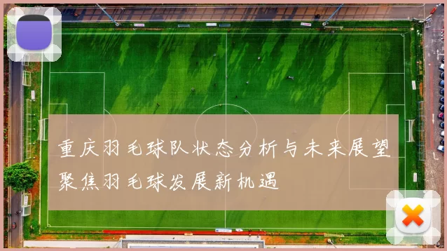 重庆羽毛球队状态分析与未来展望聚焦羽毛球发展新机遇