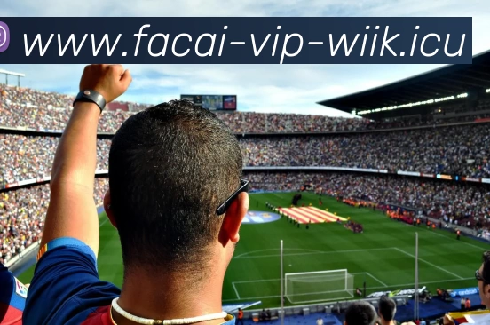 MK体育品牌故事