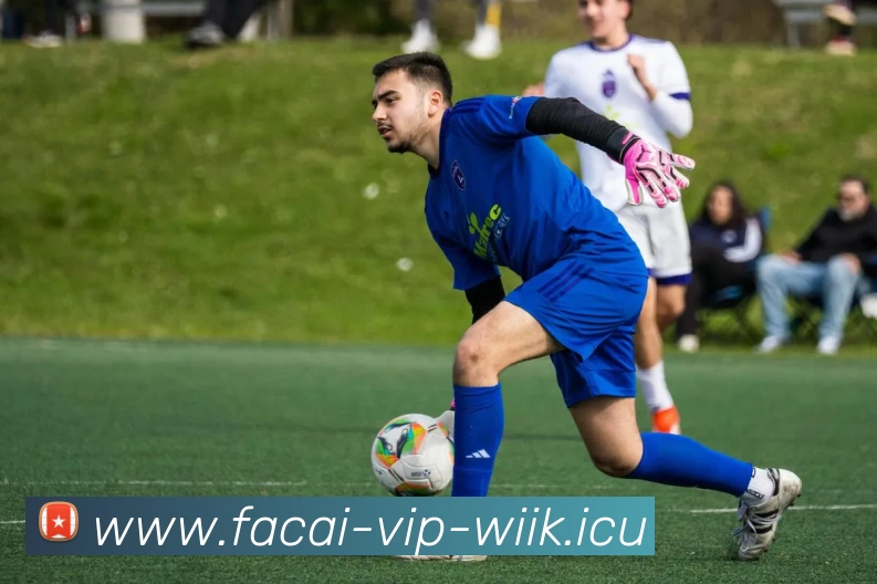 MK体育服务体系